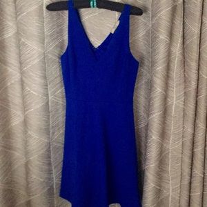 Lark&Ro scalloped neckline dress